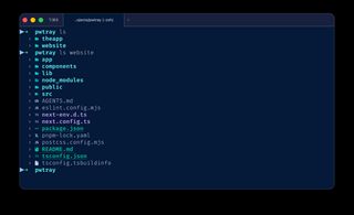 A zsh session: ls listing two directories, then ls website listing the same project with a folder or file-type icon in front of every name.
